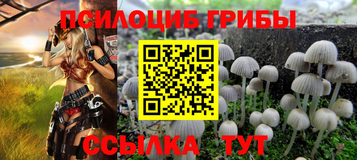 Галлюциногенные грибы мицелий Лесозаводск