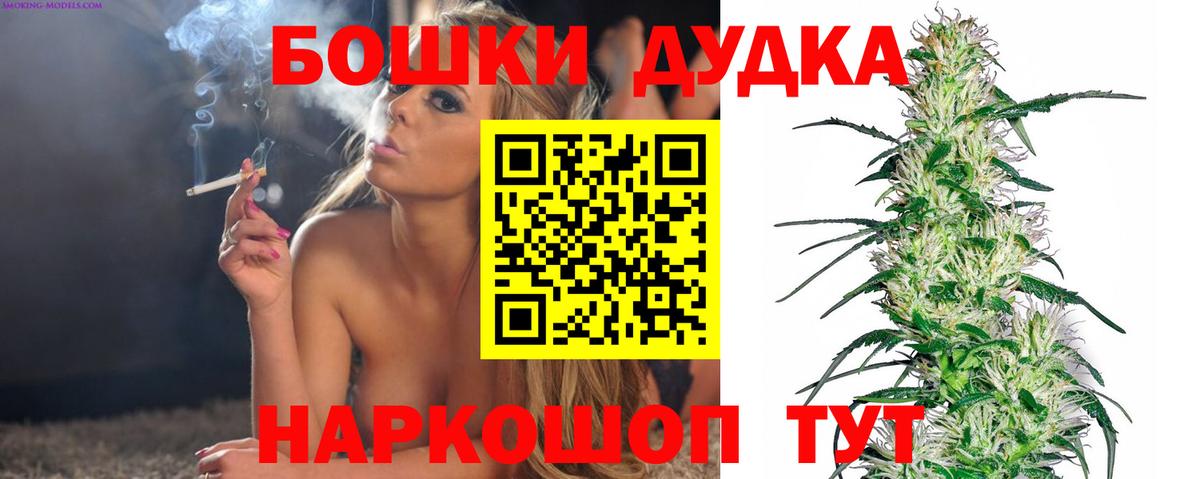 Каннабис индика Лесозаводск